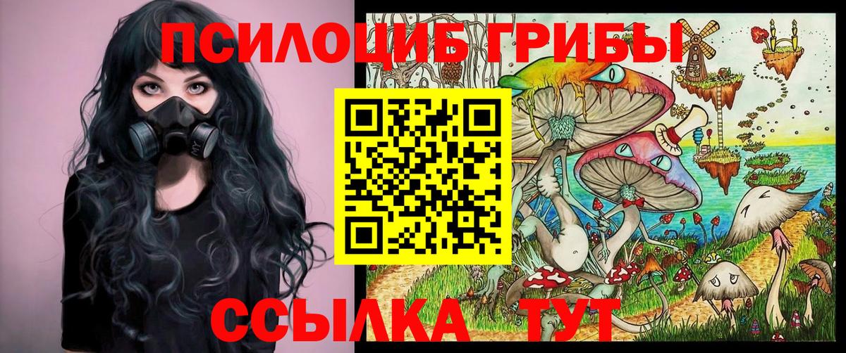 Лыткарино  Псилоцибиновые грибы Psilocybine cubensis  как найти закладки  Псилоцибиновые грибы MAGIC MUSHROOMS  Вход с VPN 